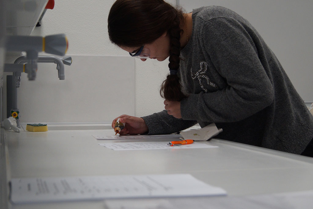 Chemieunterricht im Gymnasium Lage